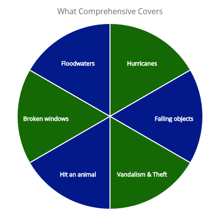 What compressive insurance covers, Floodwaters, hurricanes, broken window, hit an animal, falling objects, and vandalism and theft. 